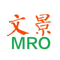 文景MRO pour PC