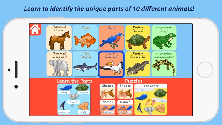 Parts Of Animals - Vertebrates