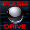 Flash Drive Business - MagicPoint Inc. (U.S.)