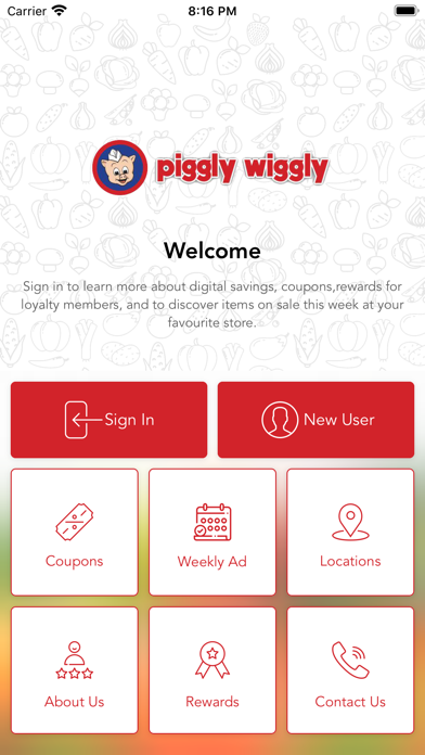 App preview