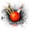 24x7 updates on Cricket across them Globe,are one click away from you