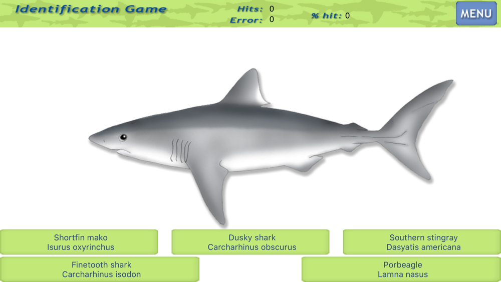 Sharks & Rays by Caranx Informatica Ltda.