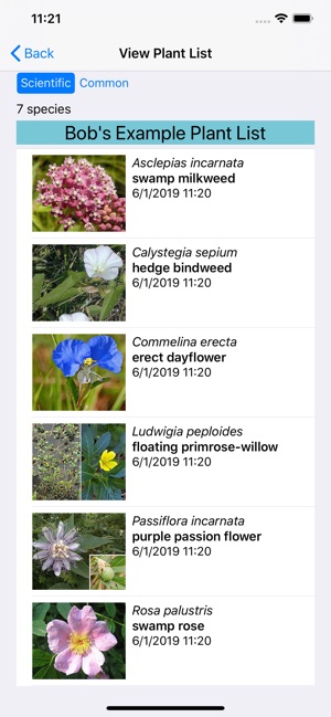 Tennessee Wildflowers(圖7)-速報App