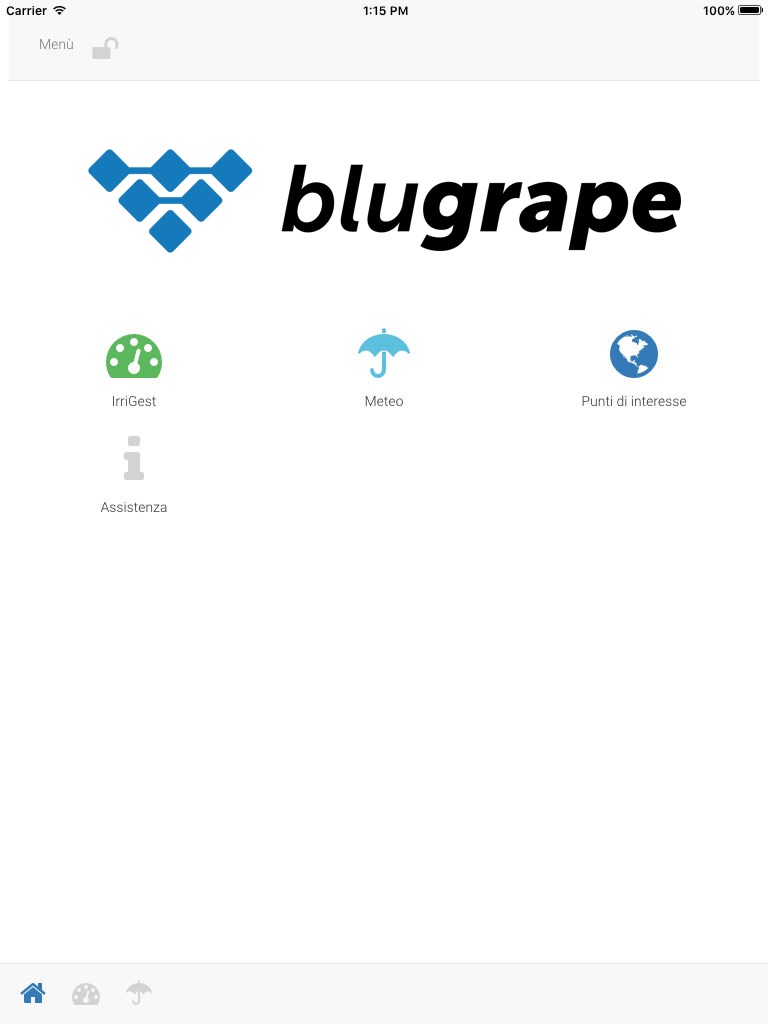 Blugrape screenshot 2