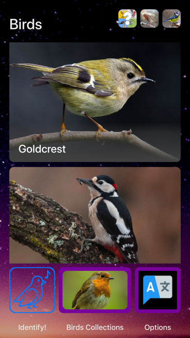Bird Song/Photo Identification screenshot 4