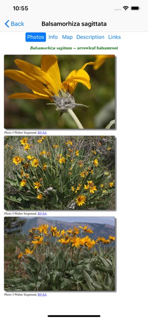 Alberta Wildflowers(圖3)-速報App