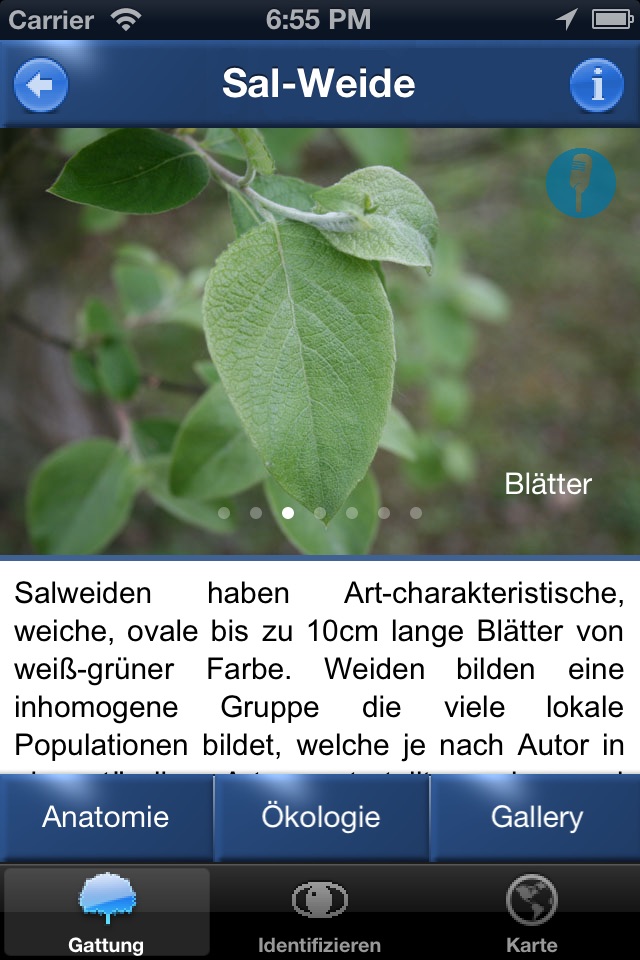 Baum Id Schweiz - Naturführer screenshot 4