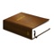 Icon Offline Holy Bible  Speaking