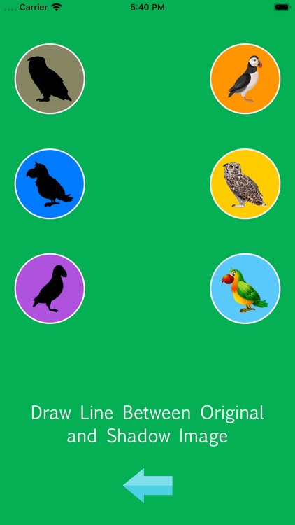 DragDropandCroosMatchBird