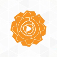 Dutch Rose pour PC
