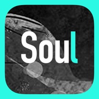 Soul-年轻人的社交元宇宙  PC 용