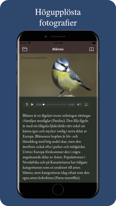 Våra fåglar screenshot 3