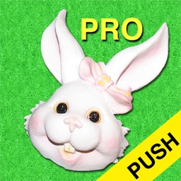 Easter Countdown Pro Push