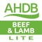 Offering BRP, Markets, News, Events for the Beef & Lamb sector