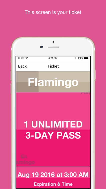 Flamingo Fares Tampa Bay screenshot-3