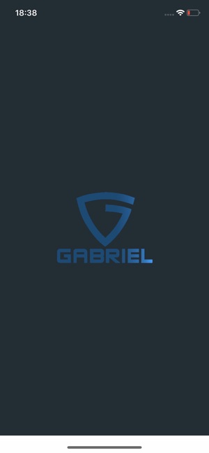 Gabriel Security