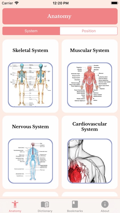 Human Anatomy Guide Offline