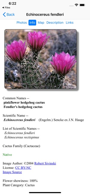 New Mexico Wildflowers(圖4)-速報App