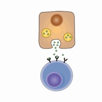 Biochemistry Lippincott’s Illustrated QA Review