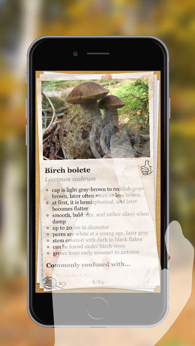 The Mushroom Book screenshot 2
