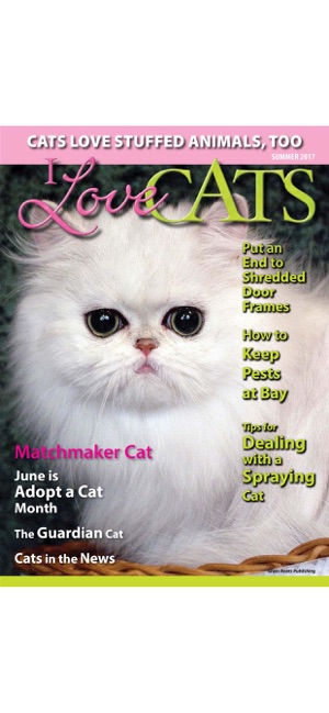 I Love Cats Magazine