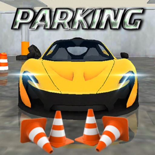Real Car Parking icon
