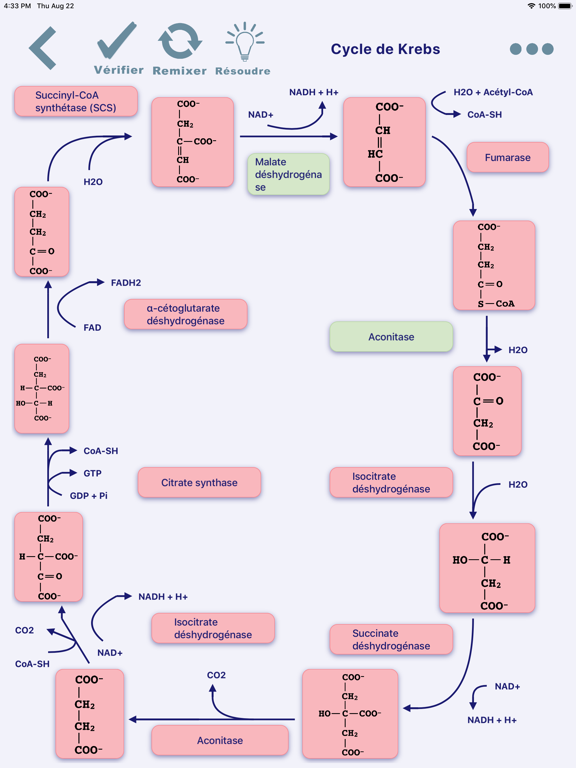 Screenshot #5 pour Metabolic Pathways