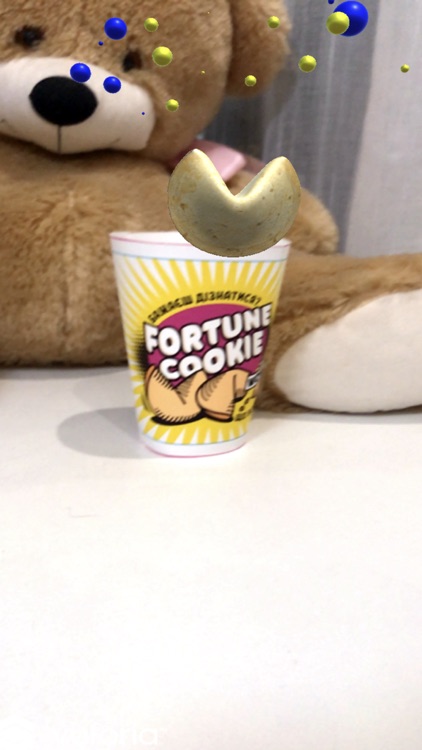 Fortune Cup!