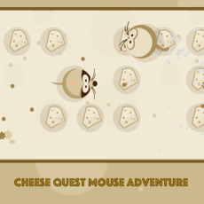 Activities of Cheese Quest Mouse Adventure