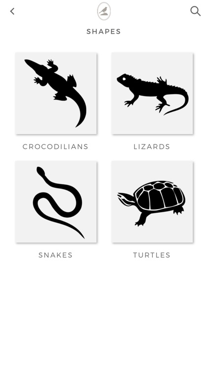 Fieldstone Guide: Reptiles screenshot-4