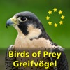 Greifvögel und Eulen Europas