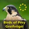 Uniquely designed for easy use in the field, this app covers all 65 species of birds of prey and owls found in Europe (includes very rare visitors, such as the Marsh Owl)
