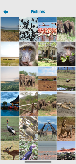 Lake Manyara National Park(圖4)-速報App