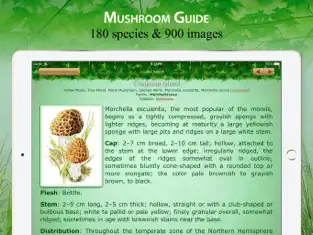 Captura de Pantalla 2 Mushroom Book & Identification iphone