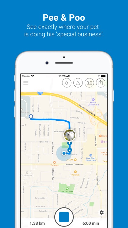 Tractive Dog Walk screenshot-3