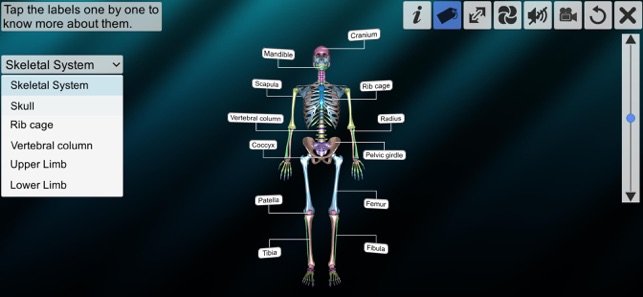 Our Bony Scaffold(圖2)-速報App