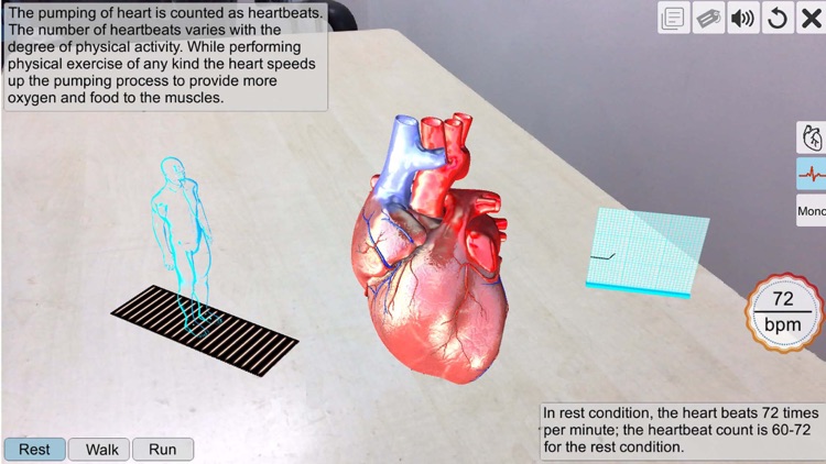 AR Human heart – A glimpse