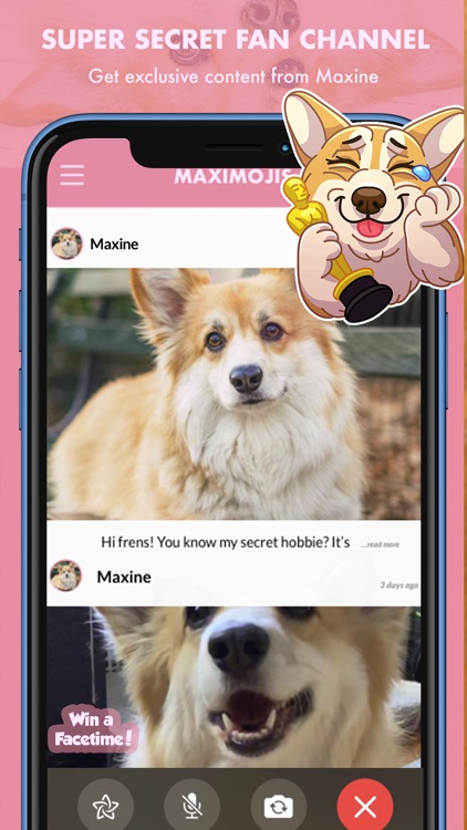 MaxiMojis - Corgi dog stickers screenshot-5