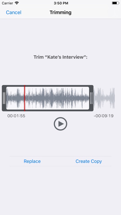 You Record Pro