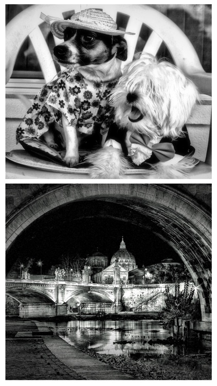 Dramatic Black & White