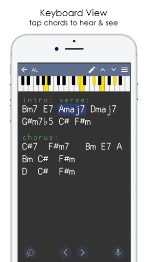 Musicians Notebook & Recorder(圖6)-速報App