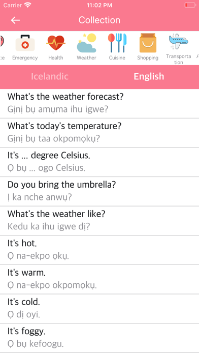 Icelandic English Dictionary! screenshot 2