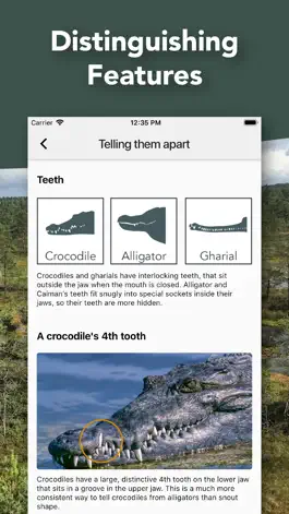 Game screenshot Crocodile, Alligator, Gharial hack