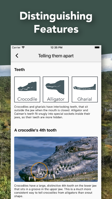 Crocodile, Alligator, Gharial screenshot 3