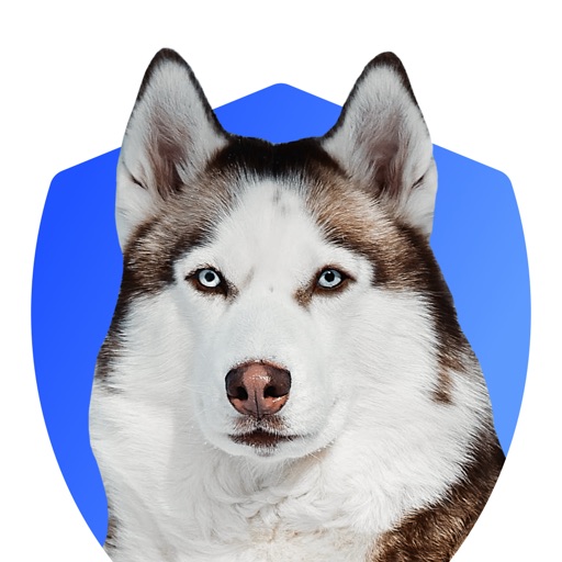 Simon - protection & security Icon