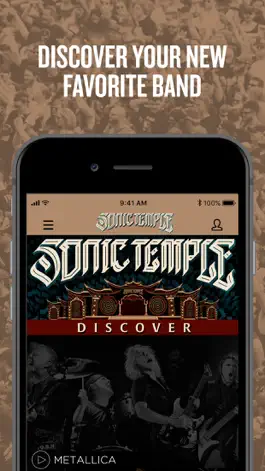 Game screenshot Sonic Temple Festival mod apk