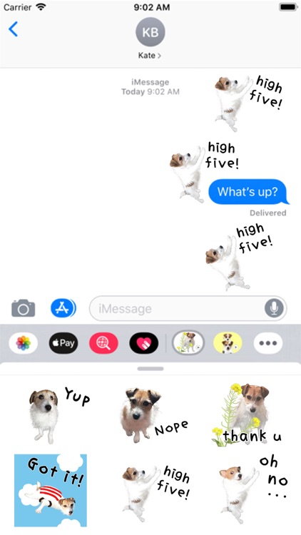 Jack Russell Animation 1