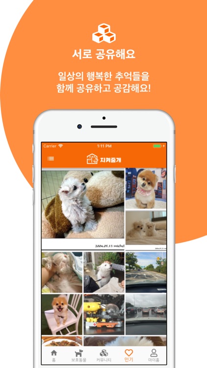 지켜줄개 screenshot-4