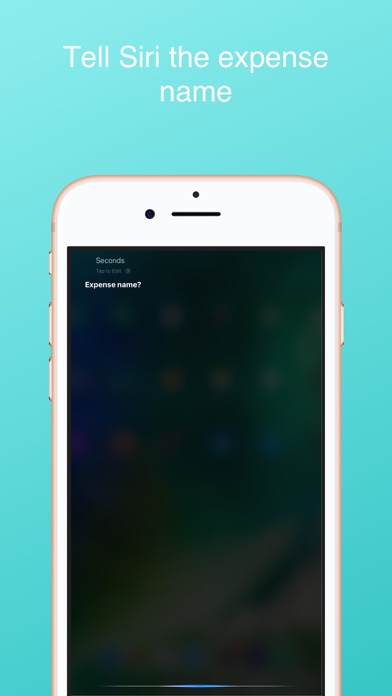 How to cancel & delete Seconds Expense from iphone & ipad 1