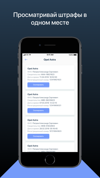 Штрафы ГАИ screenshot 4